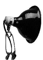(Image: Photographic Clamp Light)