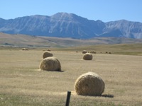 Rocky Mountain Foothills