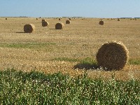 Manitoba Farmland