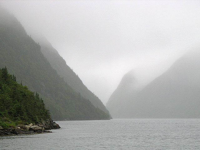 Grey River fjord