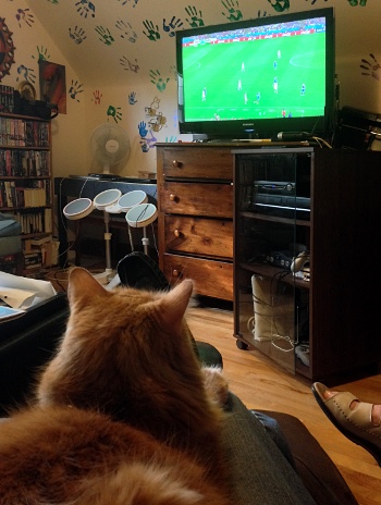 Ginger watching the World Cup final