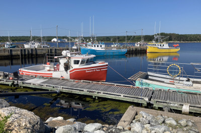 Fishing boats in Central Port Mouton