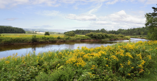 The Mabou River
